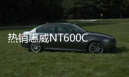 热销惠威NT600C 6.5寸汽车音响同轴喇叭车载扬声器无损安装