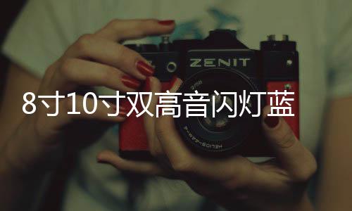 8寸10寸双高音闪灯蓝牙车载低音炮大功率功放汽车音响电脑音箱